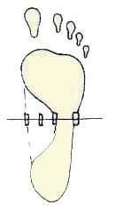 Иллюстрация к книге — Энциклопедия женской красоты и здоровья [i_328.jpg]