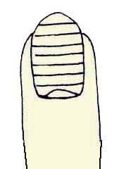 Иллюстрация к книге — Энциклопедия женской красоты и здоровья [i_357.jpg]