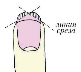 Иллюстрация к книге — Энциклопедия женской красоты и здоровья [i_363.jpg]