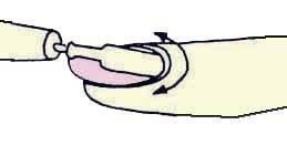 Иллюстрация к книге — Энциклопедия женской красоты и здоровья [i_364.jpg]