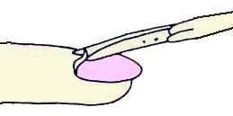 Иллюстрация к книге — Энциклопедия женской красоты и здоровья [i_365.jpg]