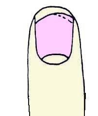 Иллюстрация к книге — Энциклопедия женской красоты и здоровья [i_367.jpg]