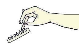 Иллюстрация к книге — Энциклопедия женской красоты и здоровья [i_373.jpg]