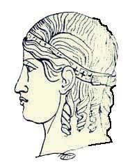 Иллюстрация к книге — Энциклопедия женской красоты и здоровья [i_393.jpg]