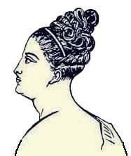 Иллюстрация к книге — Энциклопедия женской красоты и здоровья [i_397.jpg]