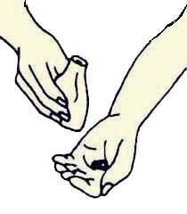 Иллюстрация к книге — Энциклопедия женской красоты и здоровья [i_421.jpg]