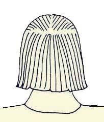 Иллюстрация к книге — Энциклопедия женской красоты и здоровья [i_438.jpg]