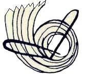 Иллюстрация к книге — Энциклопедия женской красоты и здоровья [i_447.jpg]