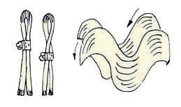 Иллюстрация к книге — Энциклопедия женской красоты и здоровья [i_460.jpg]