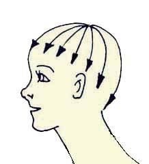 Иллюстрация к книге — Энциклопедия женской красоты и здоровья [i_462.jpg]