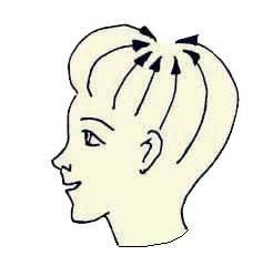 Иллюстрация к книге — Энциклопедия женской красоты и здоровья [i_463.jpg]