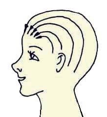 Иллюстрация к книге — Энциклопедия женской красоты и здоровья [i_464.jpg]