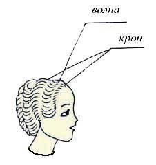 Иллюстрация к книге — Энциклопедия женской красоты и здоровья [i_475.jpg]