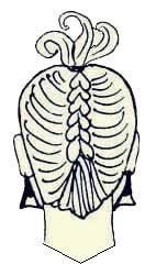 Иллюстрация к книге — Энциклопедия женской красоты и здоровья [i_491.jpg]