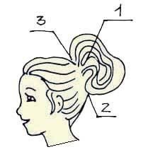 Иллюстрация к книге — Энциклопедия женской красоты и здоровья [i_497.jpg]