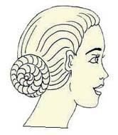 Иллюстрация к книге — Энциклопедия женской красоты и здоровья [i_501.jpg]