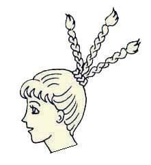 Иллюстрация к книге — Энциклопедия женской красоты и здоровья [i_508.jpg]