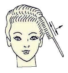 Иллюстрация к книге — Энциклопедия женской красоты и здоровья [i_543.jpg]