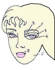 Иллюстрация к книге — Энциклопедия женской красоты и здоровья [i_568.jpg]