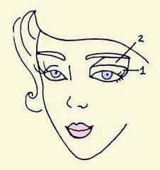 Иллюстрация к книге — Энциклопедия женской красоты и здоровья [i_601.jpg]