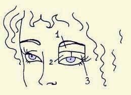 Иллюстрация к книге — Энциклопедия женской красоты и здоровья [i_604.jpg]