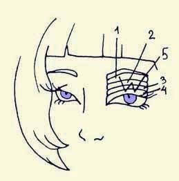 Иллюстрация к книге — Энциклопедия женской красоты и здоровья [i_605.jpg]