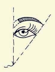 Иллюстрация к книге — Энциклопедия женской красоты и здоровья [i_610.jpg]