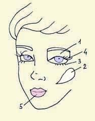 Иллюстрация к книге — Энциклопедия женской красоты и здоровья [i_622.jpg]