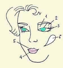 Иллюстрация к книге — Энциклопедия женской красоты и здоровья [i_623.jpg]