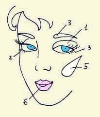 Иллюстрация к книге — Энциклопедия женской красоты и здоровья [i_624.jpg]