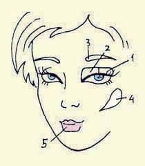 Иллюстрация к книге — Энциклопедия женской красоты и здоровья [i_627.jpg]