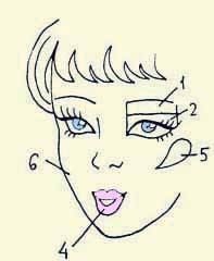 Иллюстрация к книге — Энциклопедия женской красоты и здоровья [i_628.jpg]