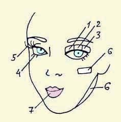 Иллюстрация к книге — Энциклопедия женской красоты и здоровья [i_643.jpg]