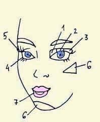 Иллюстрация к книге — Энциклопедия женской красоты и здоровья [i_645.jpg]