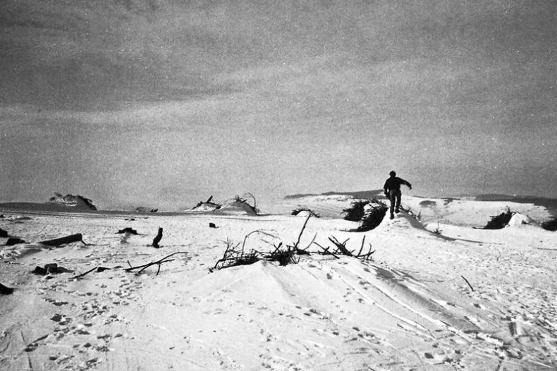 Иллюстрация к книге — Долбящий клавиши [i_074.jpg]