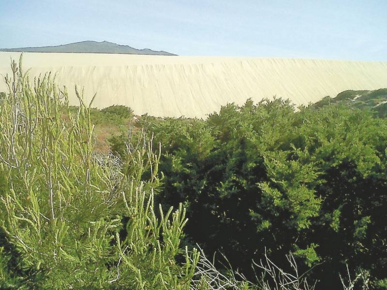 Иллюстрация к книге — Долбящий клавиши [i_080.jpg]