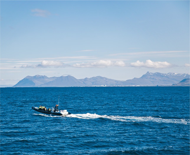 Иллюстрация к книге — Nordic Dads [i_065.jpg]