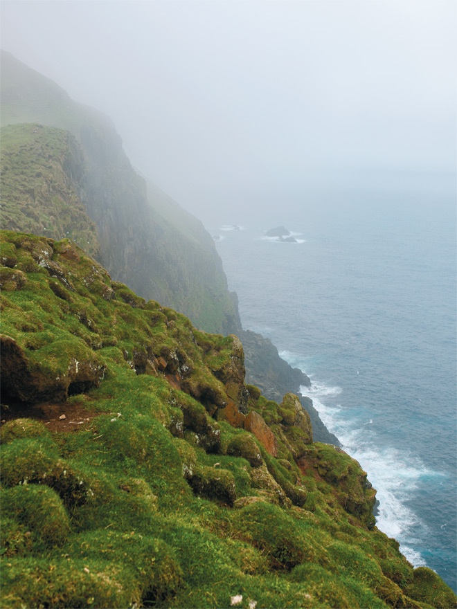 Иллюстрация к книге — Nordic Dads [i_087.jpg]