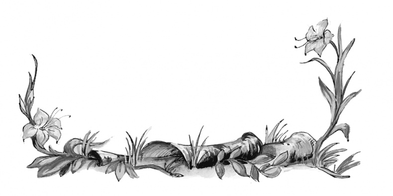 Иллюстрация к книге — Питер Пен [i_003.jpg]