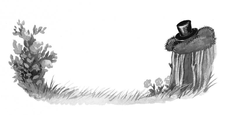 Иллюстрация к книге — Питер Пен [i_013.jpg]