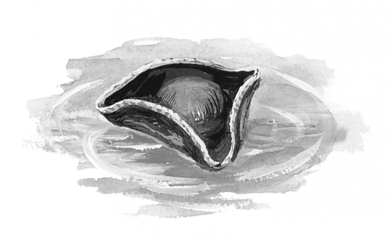 Иллюстрация к книге — Питер Пен [i_031.jpg]