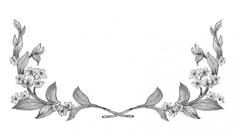 Иллюстрация к книге — Питер Пен [i_037.jpg]