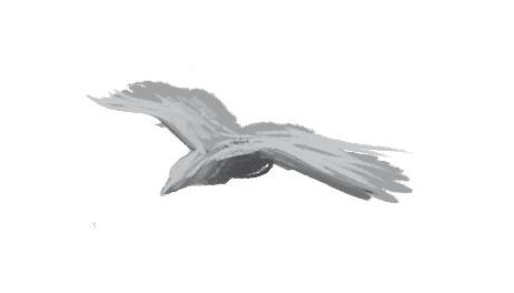 Иллюстрация к книге — Упасть в облака [i_001.jpg]