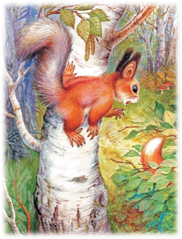 Иллюстрация к книге — Рассказы о природе [i_006.jpg]