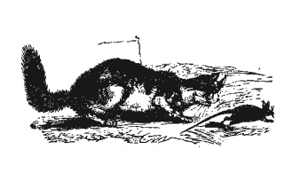 Иллюстрация к книге — Книга, которую читают все [i_036.jpg]