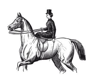 Иллюстрация к книге — Книга, которую читают все [i_060.jpg]