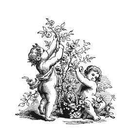 Иллюстрация к книге — Книга, которую читают все [i_075.jpg]