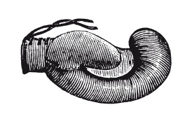 Иллюстрация к книге — Книга, которую читают все [i_085.jpg]