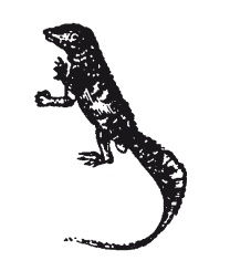 Иллюстрация к книге — Книга, которую читают все [i_094.jpg]