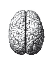 Иллюстрация к книге — Книга, которую читают все [i_106.jpg]